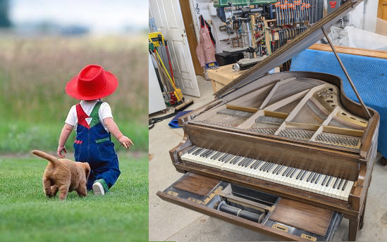 Chickering Ampico Reproducing Piano